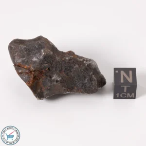 Canyon Diablo Meteorite 65.5g