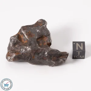 Canyon Diablo Meteorite 96.5g