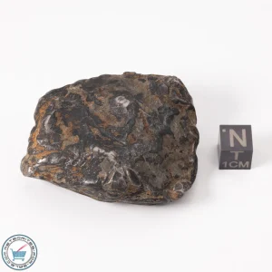 Gebel Kamil Meteorite 186.9g