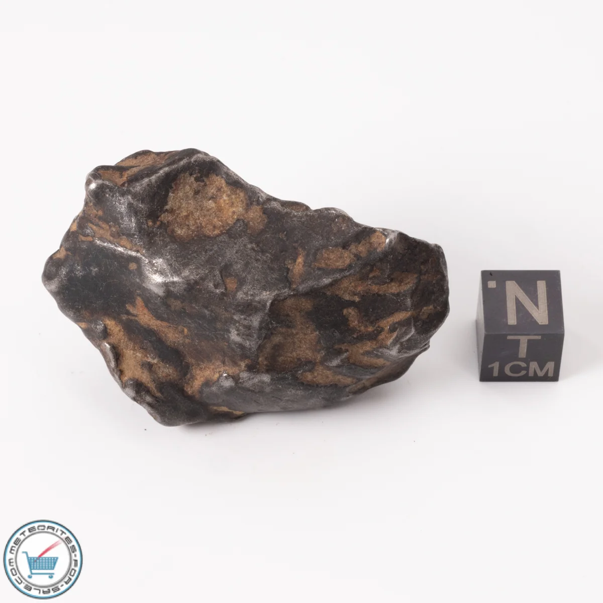 Gebel Kamil Meteorite 124.8g