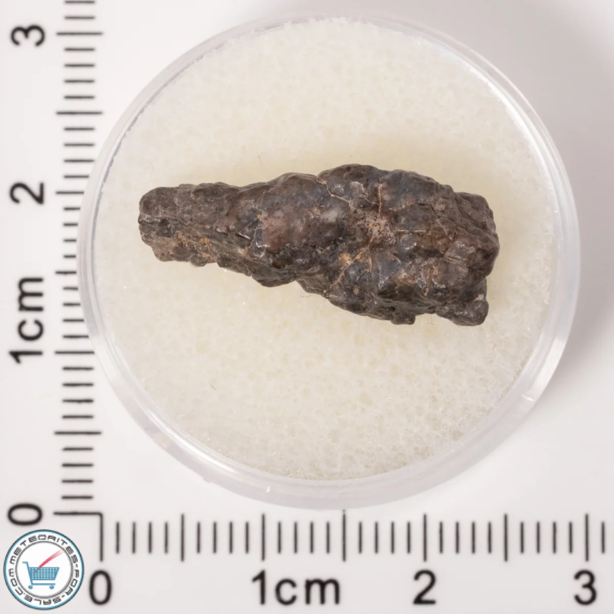 Laâyoune 002 Lunar Meteorite 1.43g