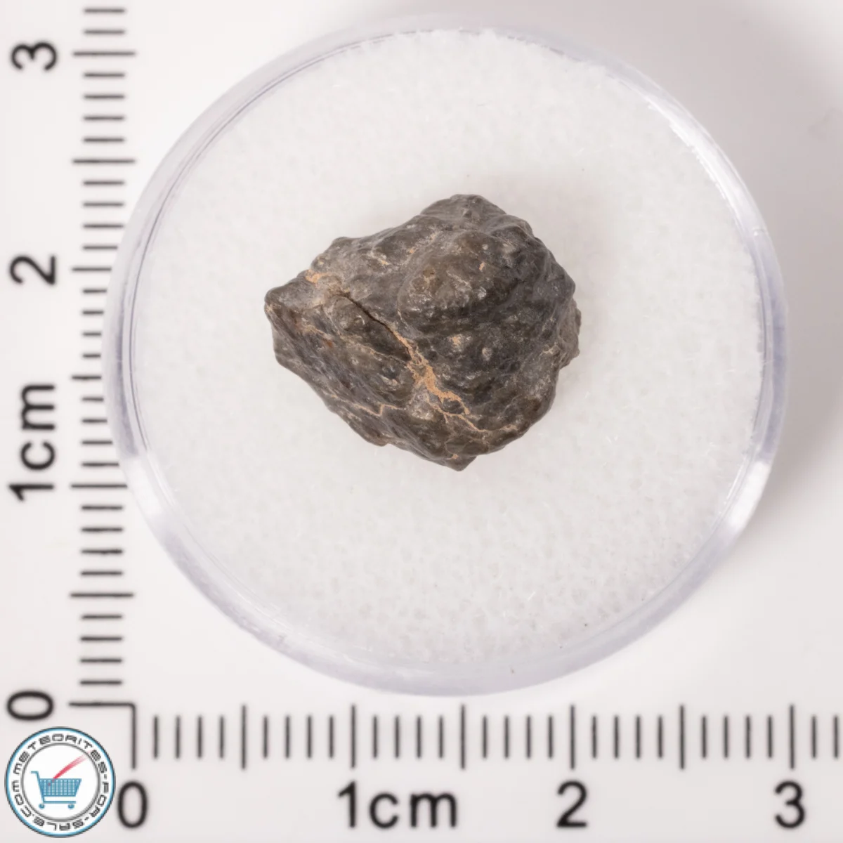 Laâyoune 002 Lunar Meteorite 1.40g