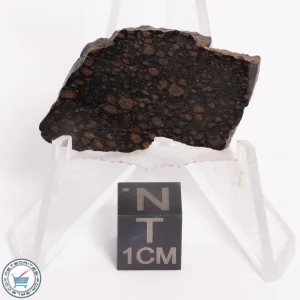 NWA 5950 Meteorite (provisional) 4.53g Slice