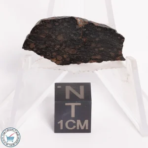 NWA 5950 Meteorite (provisional) 2.35g Slice