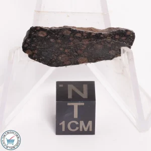 NWA 5950 Meteorite (provisional) 4.11g Slice