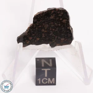 NWA 5950 Meteorite (provisional) 4.22g Slice
