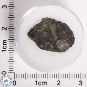 NWA 5950 Meteorite (provisional) 1.35g End-Cut