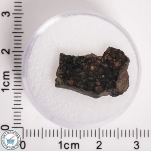 NWA 5950 Meteorite (provisional) 1.21g Slice