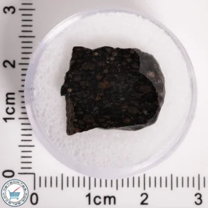 NWA 5950 Meteorite (provisional) 2.28g Slice