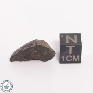 NWA 5950 Meteorite (provisional) 3.14g End-Cut