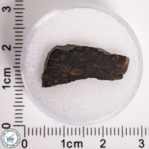 NWA 5950 Meteorite (provisional) 1.34g Slice