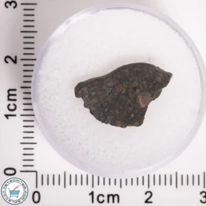 NWA 5950 Meteorite (provisional) 0.58g End-Cut