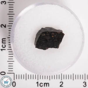 NWA 5950 Meteorite (provisional) 0.92g Slice