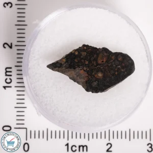 NWA 5950 Meteorite (provisional) 1.19g End-Cut