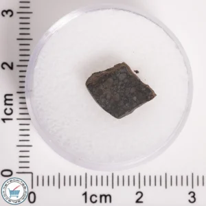 NWA 5950 Meteorite (provisional) 1.12g End-Cut