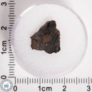 NWA 5950 Meteorite (provisional) 0.53g Slice