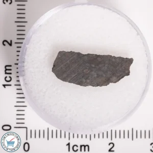 NWA 5950 Meteorite (provisional) 0.63g End-Cut