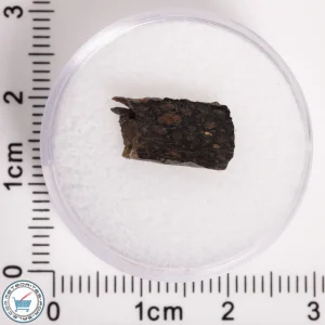 NWA 5950 Meteorite (provisional) 0.59g Slice