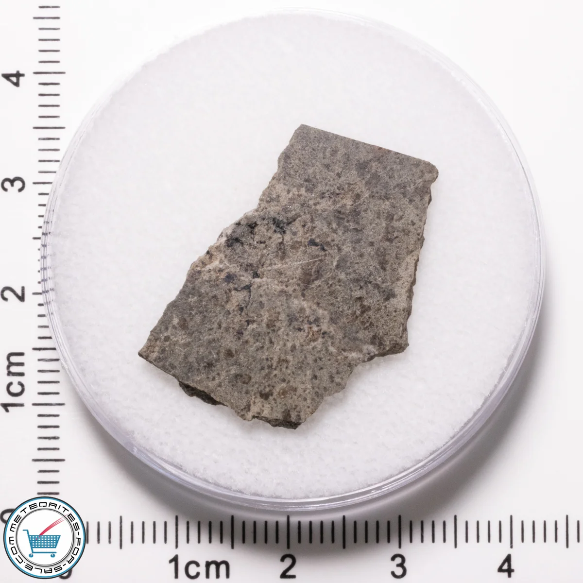 Amgala 001 Martian Meteorite 2.92g