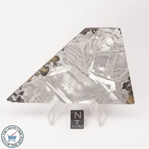 Seymchan Pallasite Meteorite 112.0g Slice