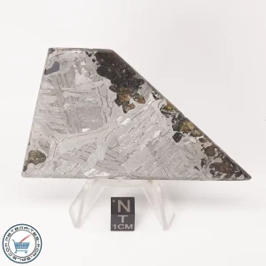 Seymchan Pallasite Meteorite 112.0g Slice