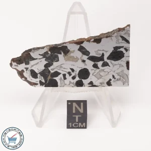 Seymchan Pallasite Meteorite 18.9g Slice