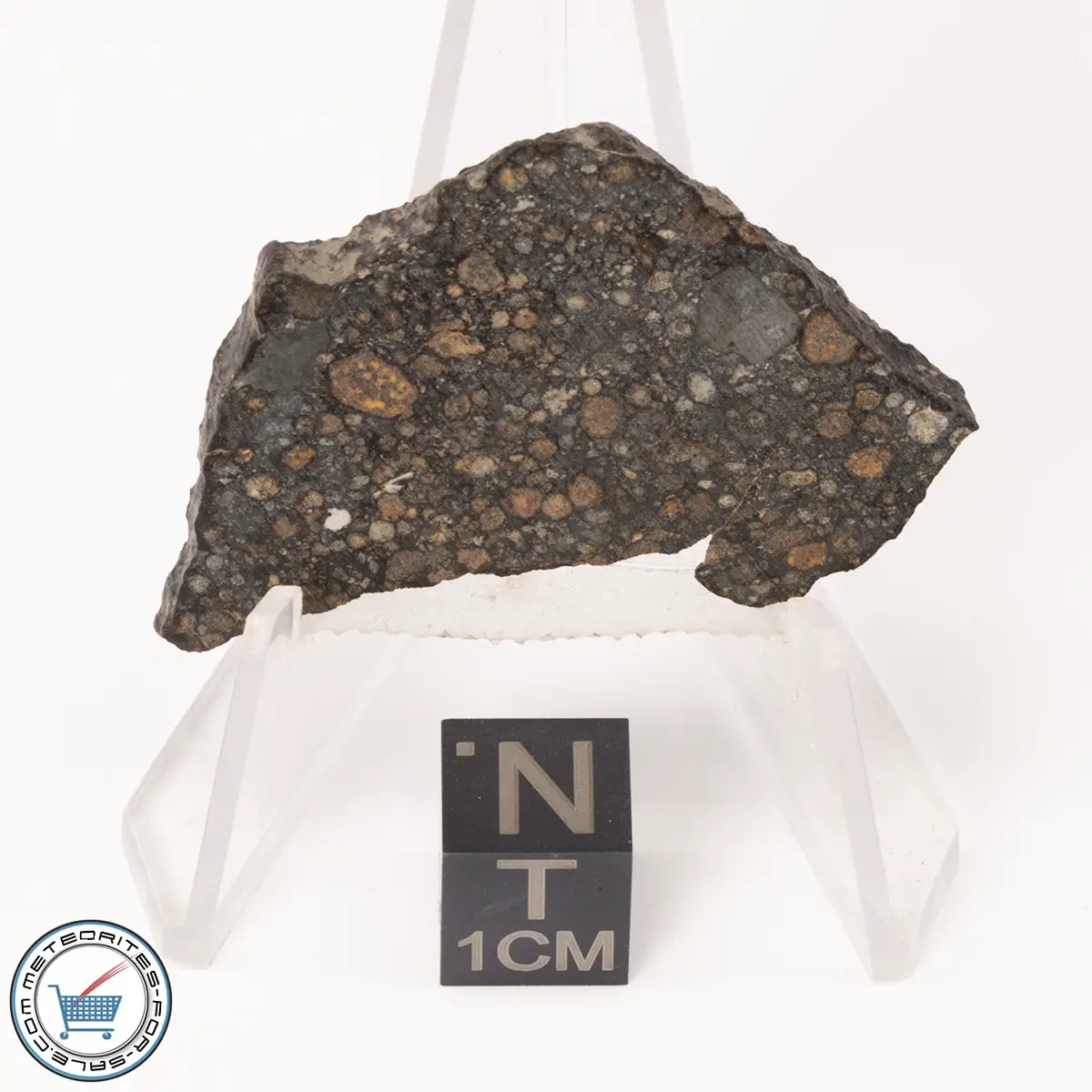 NWA 7454 Meteorite 7.9g Slice