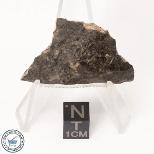 NWA 7454 Meteorite 16.7g End-Cut