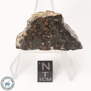 NWA 7454 Meteorite 16.7g End-Cut