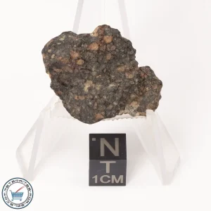 NWA 7454 Meteorite 10.2g End-Cut