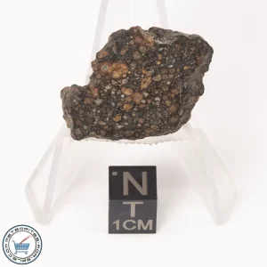 NWA 7454 Meteorite 10.2g End-Cut