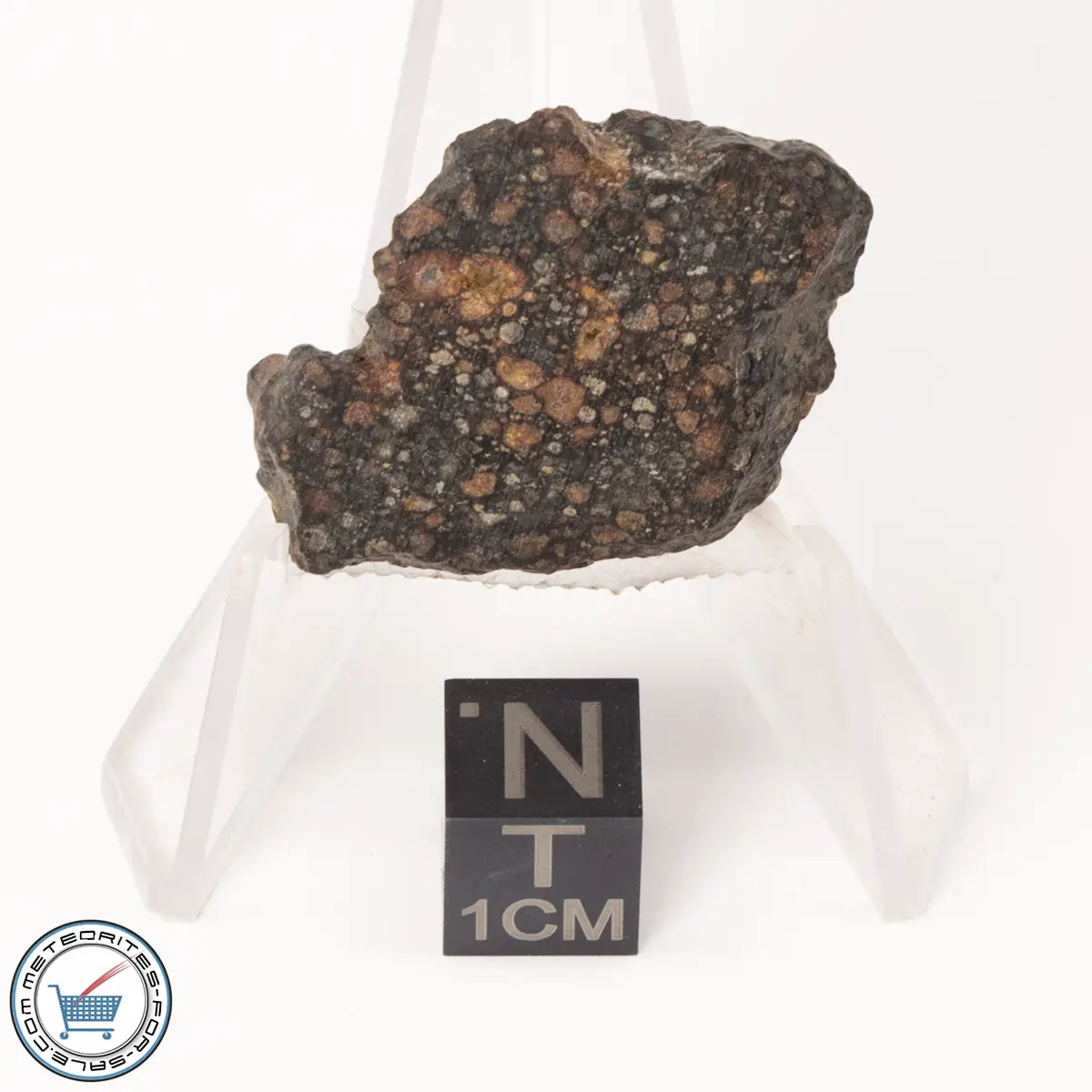 NWA 7454 Meteorite 10.2g End-Cut