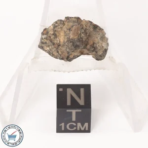 NWA 7454 Meteorite 1.7g End-Cut