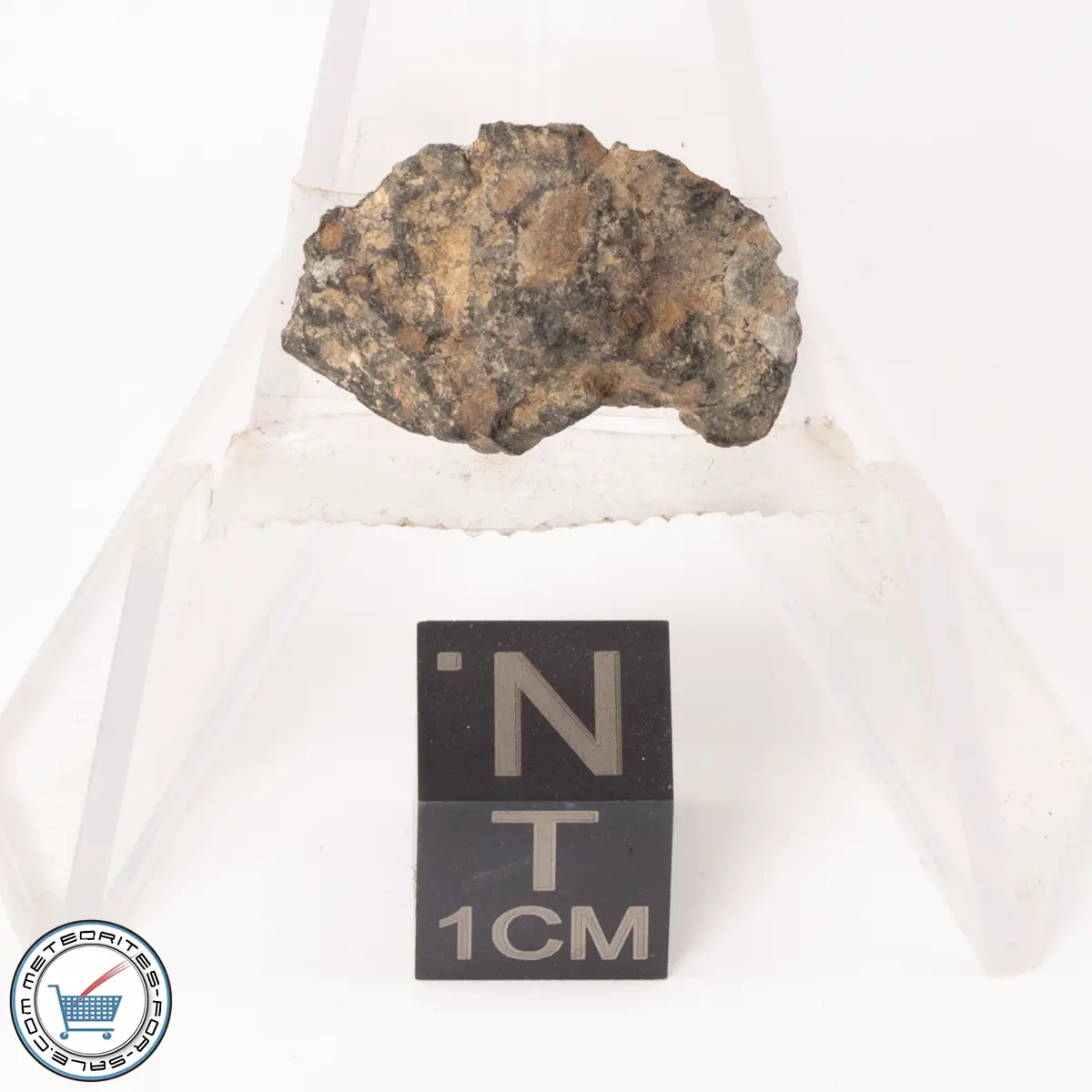NWA 7454 Meteorite 1.7g End-Cut