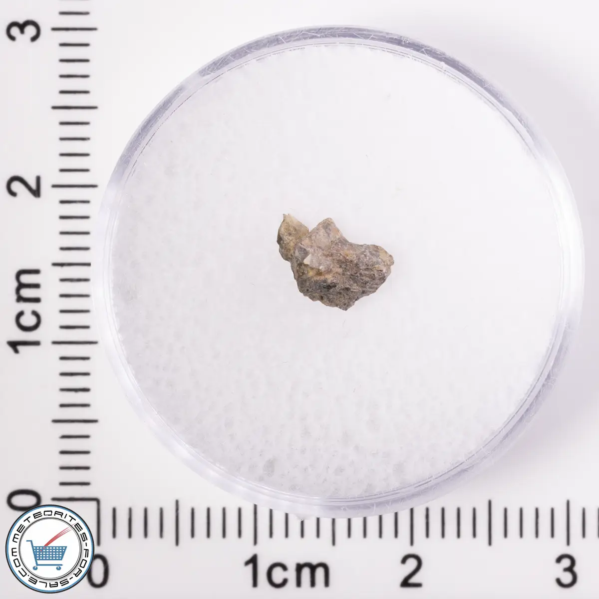 NWA 7831 Meteorite 0.10-0.20g