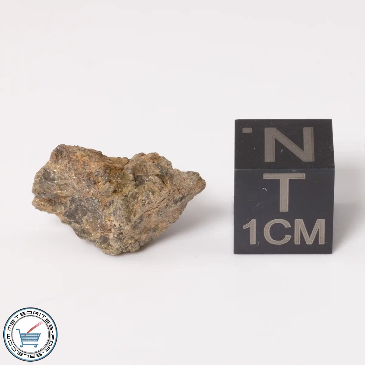 NWA 7831 Meteorite 2.02g