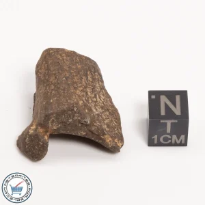 Mundrabilla Meteorite 33.7g