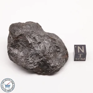 Uruaçu Meteorite 130.0g