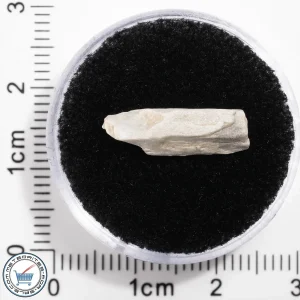 Sebkha el Melah 001 Meteorite 0.60g