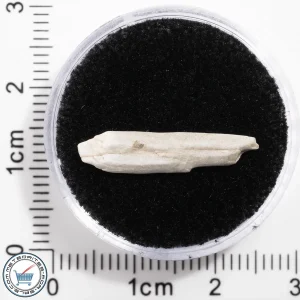 Sebkha el Melah 001 Meteorite 0.51g