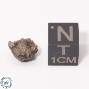 Bechar 003 Lunar Meteorite 0.51-0.75g