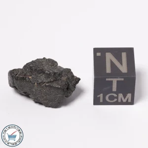 NWA 15523 CM2 Meteorite 1.93g
