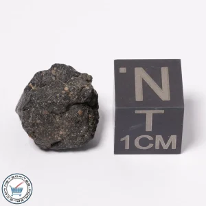 NWA 15523 CM2 Meteorite 1.79g