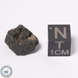 NWA 15523 CM2 Meteorite 1.69g
