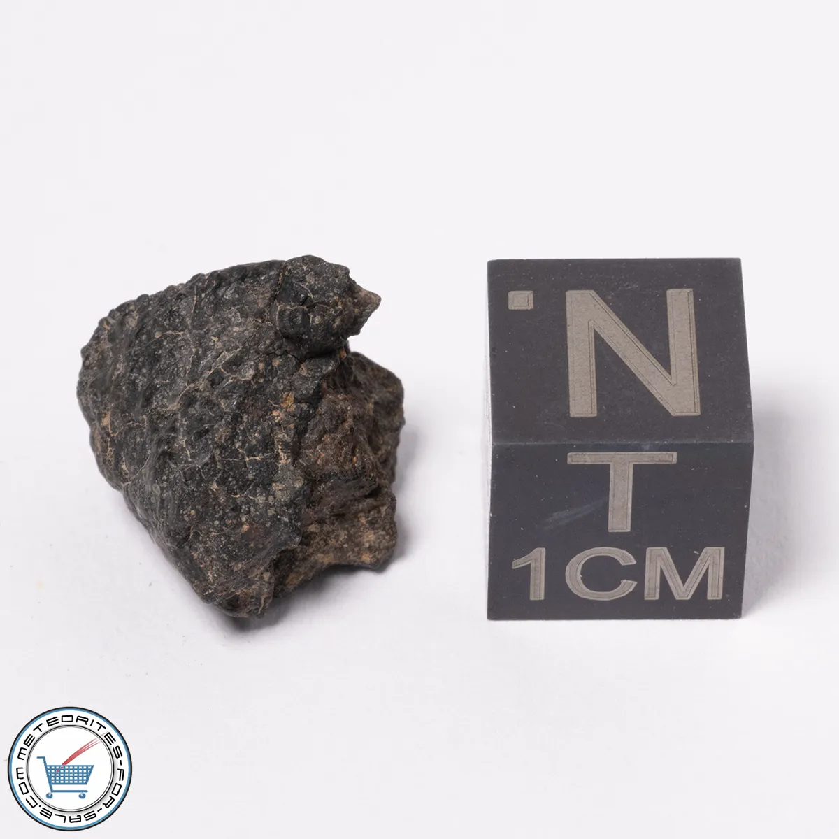 NWA 15523 CM2 Meteorite 2.11g