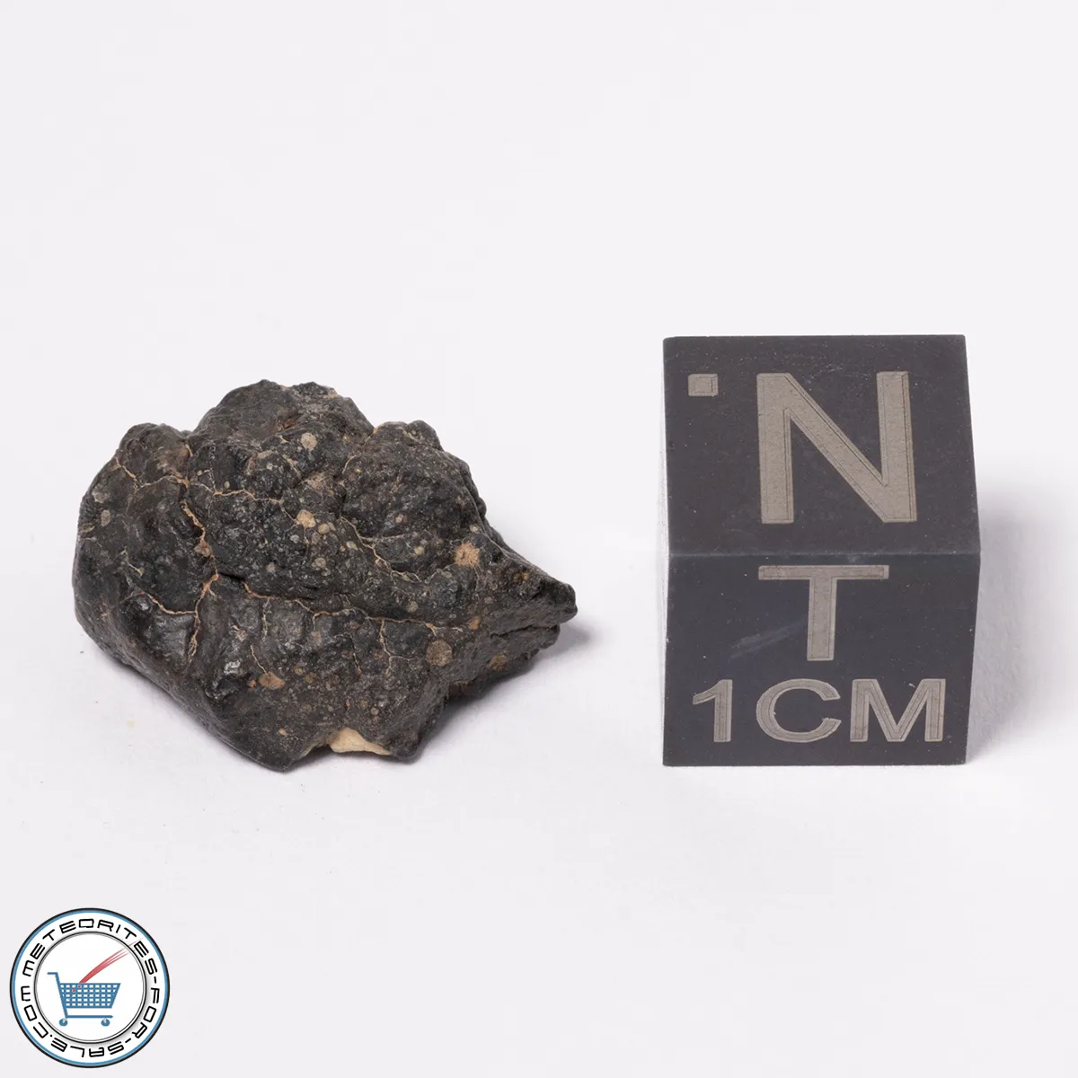 NWA 15523 CM2 Meteorite 2.00g