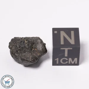 NWA 15523 CM2 Meteorite 1.87g