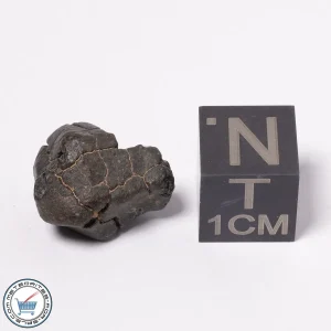 NWA 15523 CM2 Meteorite 1.82g