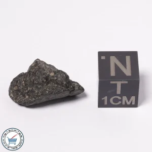 NWA 15523 CM2 Meteorite 1.94g