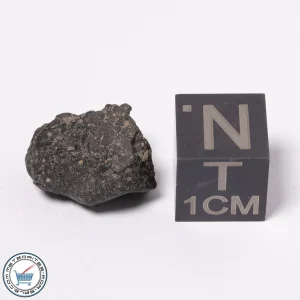 NWA 15523 CM2 Meteorite 1.78g
